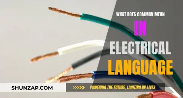 Electrical Language: Understanding the 'Common' Terminology
