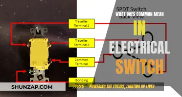 Understanding Electrical Switches: What Does 'Common' Really Mean?
