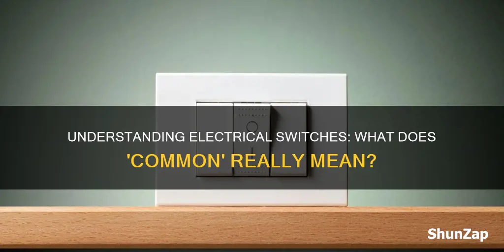 what does common mean in electrical switch