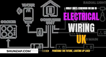 Electrical Wiring UK: Understanding the 'Common' Terminal