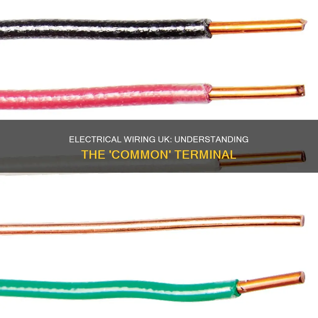 what does common mean in electrical wiring uk
