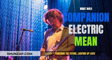 Understanding Companion Electric: A Comprehensive Guide