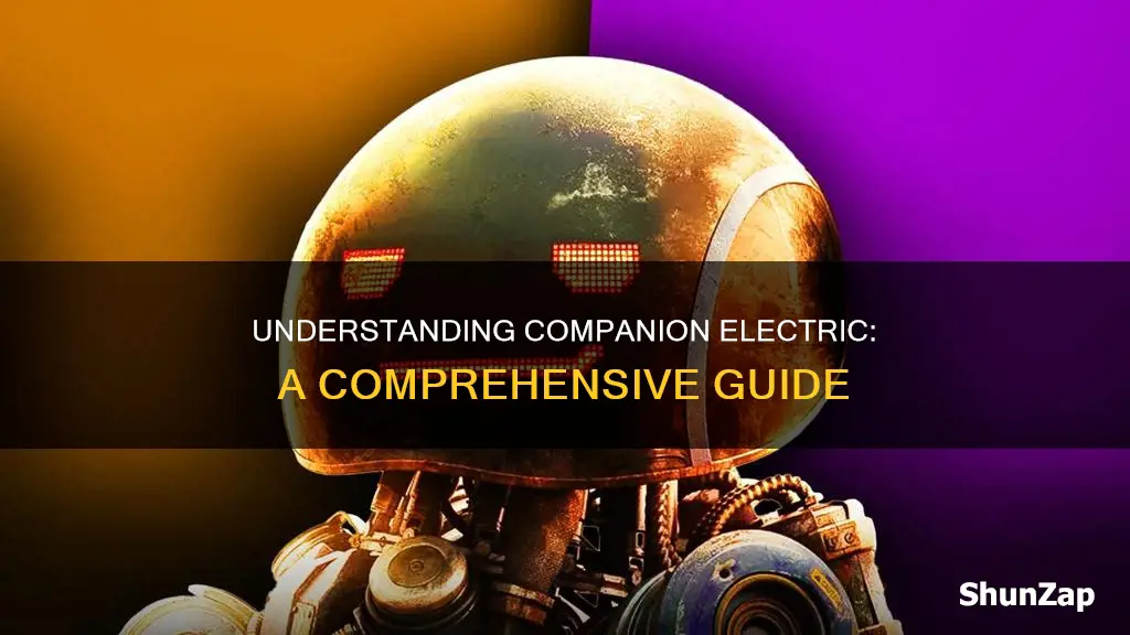 what does companion electric mean