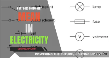Understanding Electrical Components: What Does 'Component' Actually Mean?