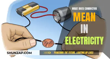 Conductors: Electricity's Pathfinders and Their Meaning