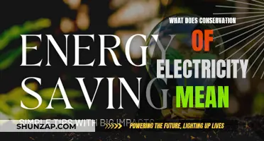 Electricity Conservation: Understanding the Importance of Saving Energy