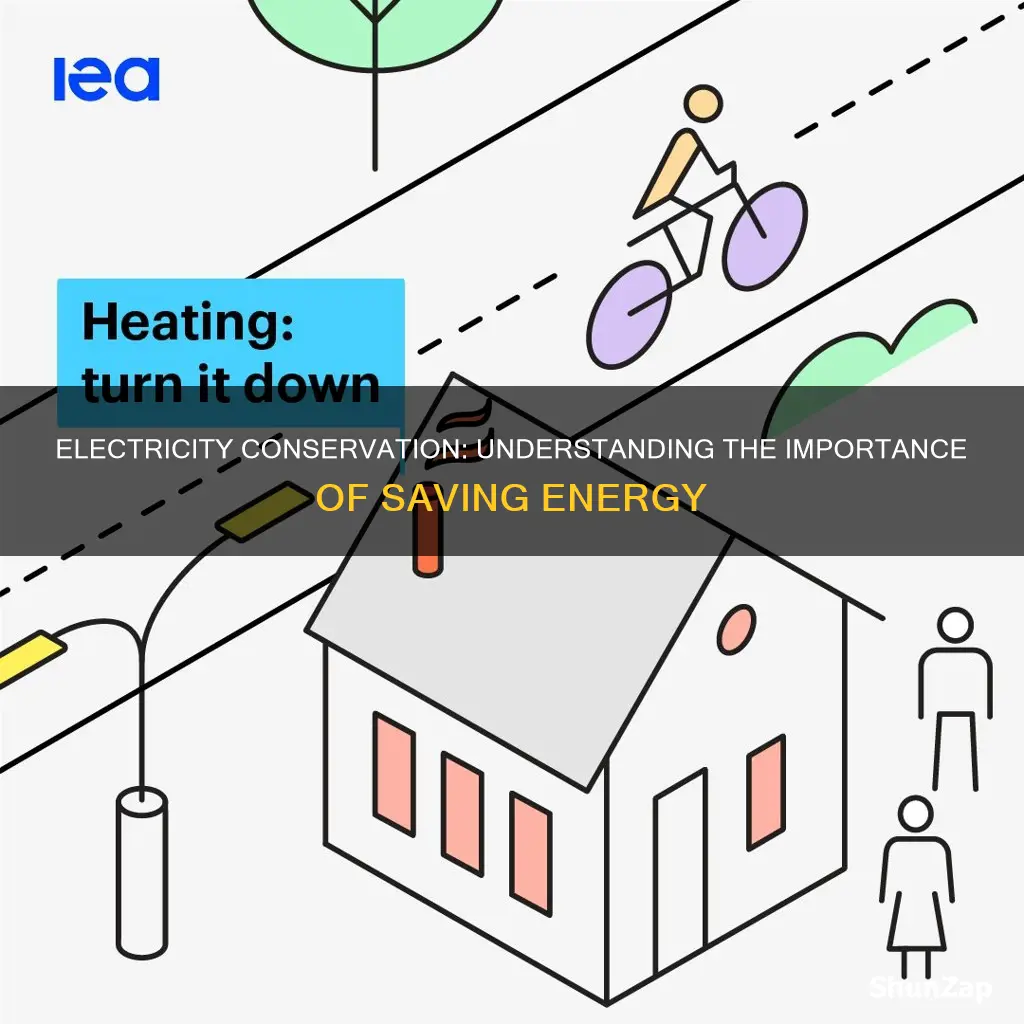 what does conservation of electricity mean