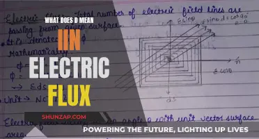 Understanding the Meaning of 'D' in Electric Flux