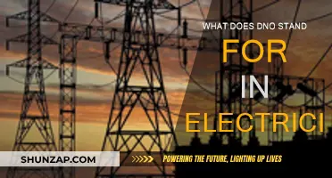 Understanding DNO: Electricity's Dynamic Network Operators