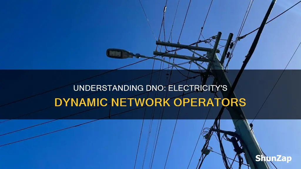 what does dno stand for in electricity