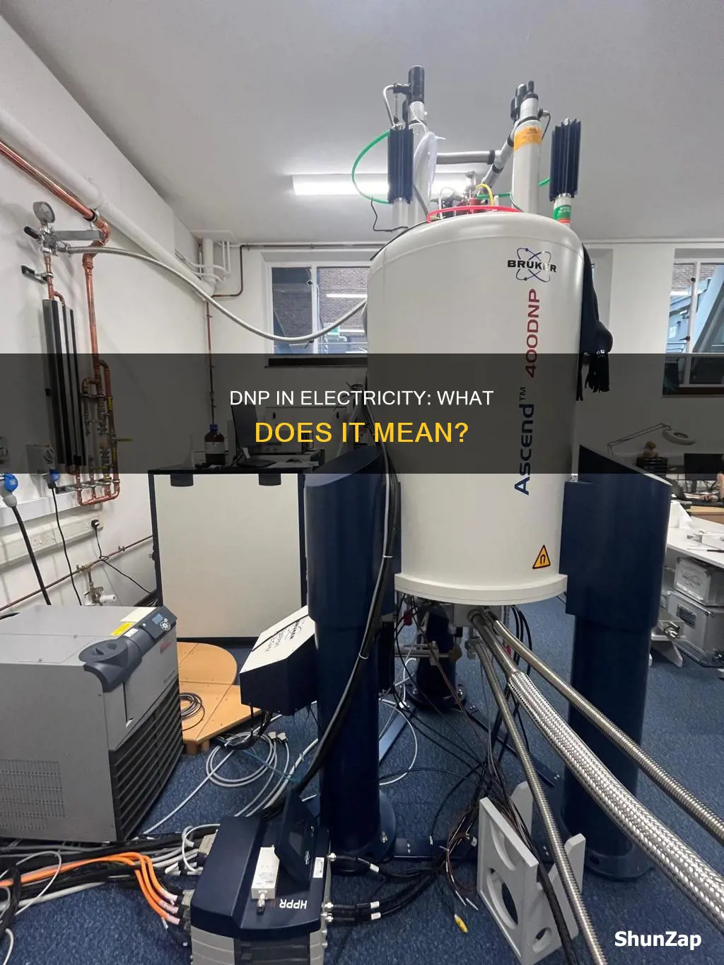 what does dnp mean in electricity
