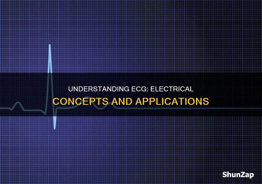 what does ecg mean in electrical