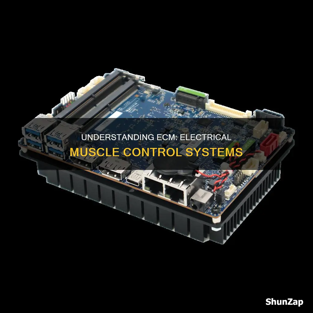 what does ecm stand for in electrical
