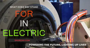 Electric Cars: Understanding the EGV Acronym