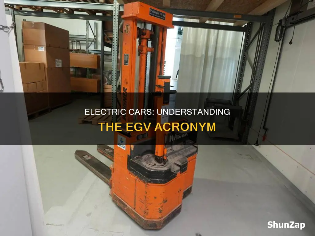 what does egv stand for in electric