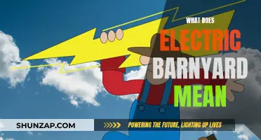 Electric Barnyard: A Unique Rural Experience Explained