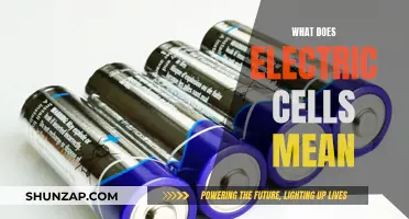 Electric Cells: Understanding Their Meaning and Significance