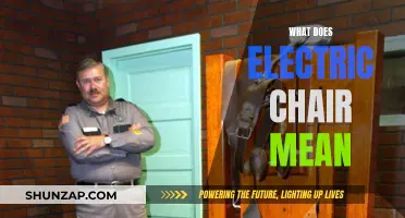 The Electric Chair: A Historical Method of Execution