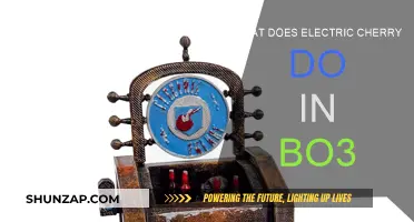 Electric Cherry: Bo3's Ultimate Perk Explained