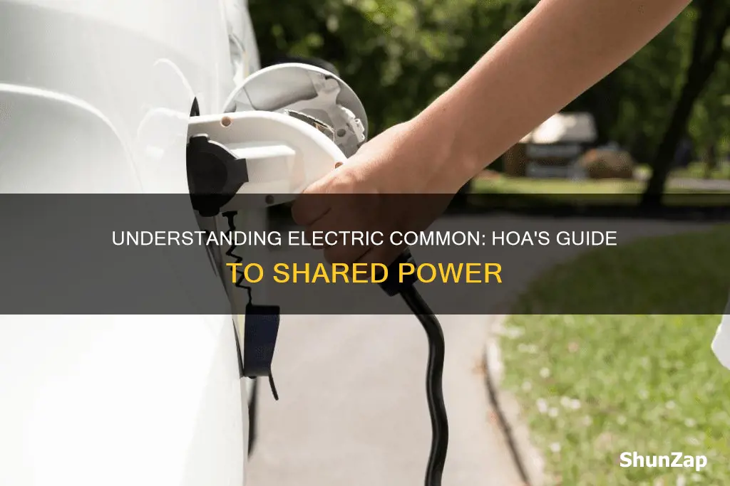 what does electric common mean in hoa