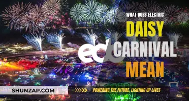 Electric Daisy Carnival: A Festival of Music and Lights