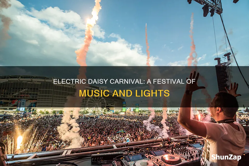 what does electric daisy carnival mean