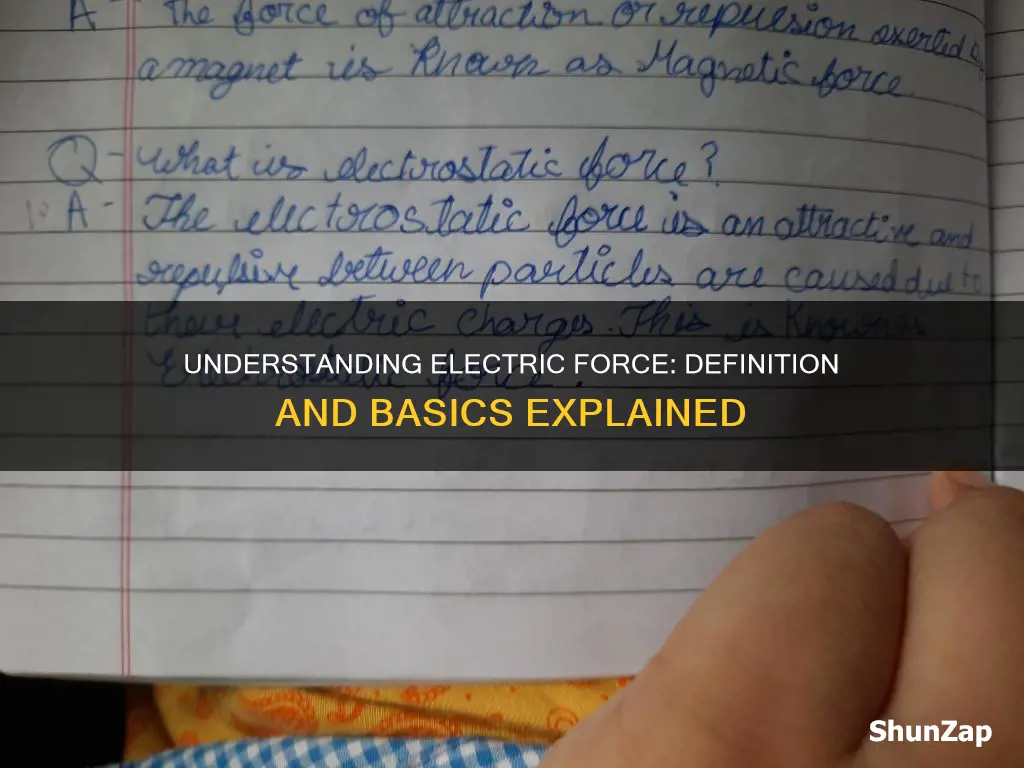 what does electric force mean