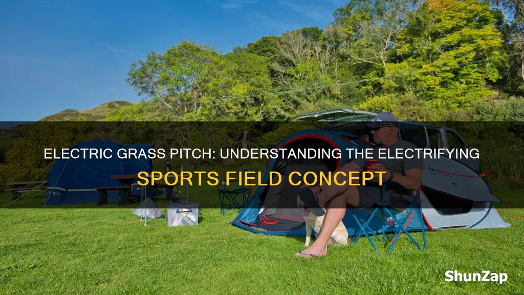 what does electric grass pitch mean