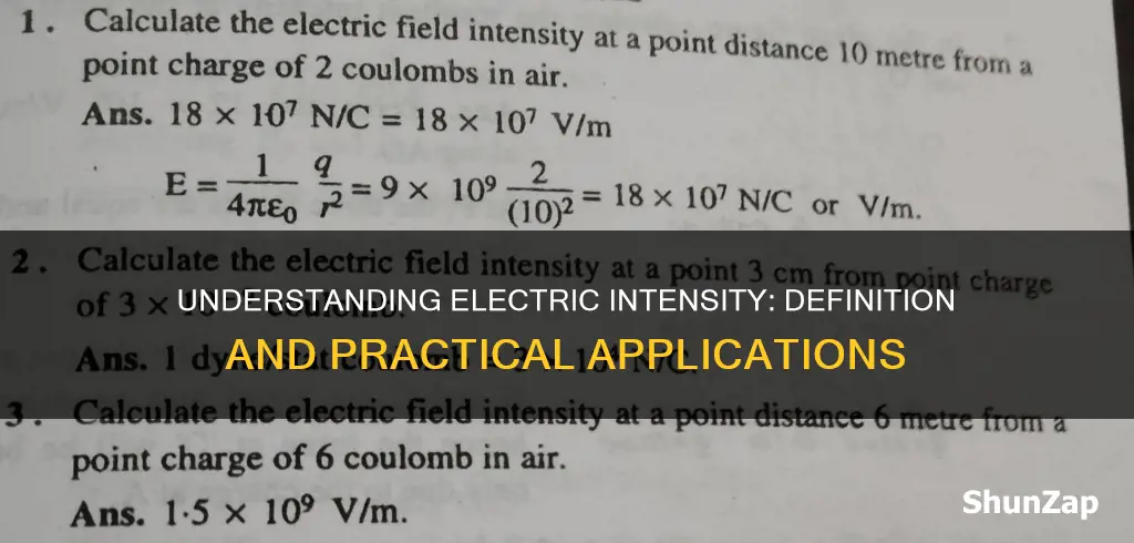 what does electric intensity mean