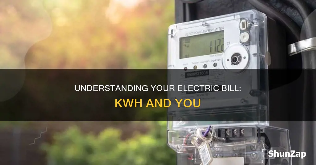 what does electric kwh day mean