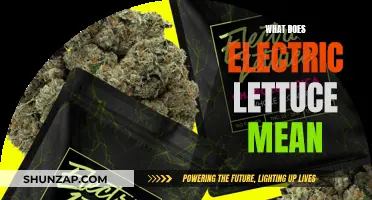 Electric Lettuce: Unveiling the Meaning and Its Intriguing History