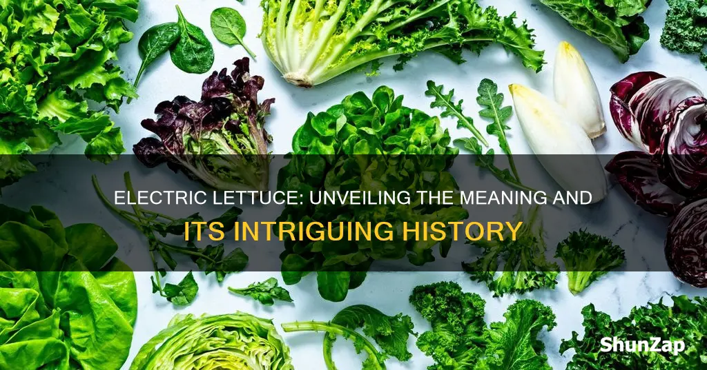 what does electric lettuce mean
