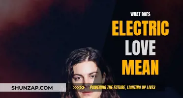 The Spark of Electric Love: What Does It Mean?