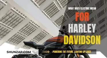 Harley-Davidson's Electric Future: What's the Plan?