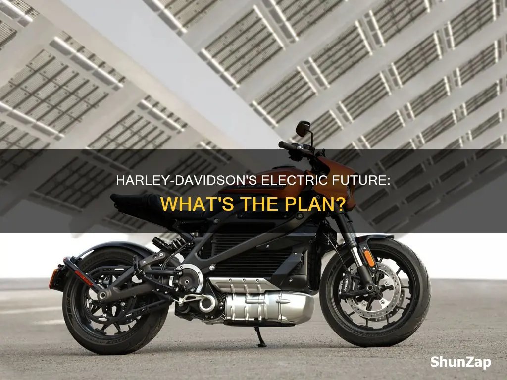 what does electric mean for harley davidson