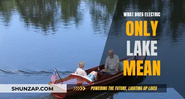 Understanding Electric-Only Lakes: Powering the Future?