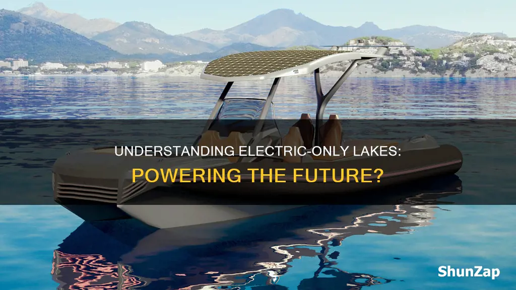 what does electric only lake mean
