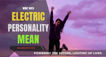 Electric Personalities: What Does it Mean?