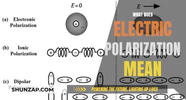 Understanding Electric Polarization: Definition and Basics