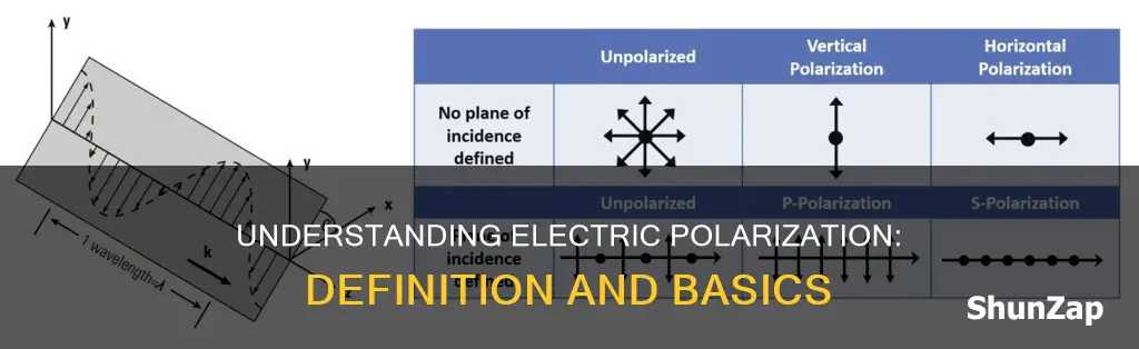 what does electric polarization mean