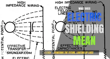 Electric Shielding: Understanding the Science of Field Protection