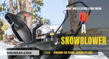 Electric Start Snowblowers: Convenience and Power at Your Fingertips