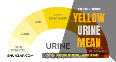 Electric Yellow Urine: What Does It Mean?