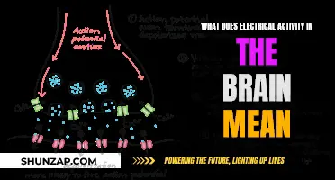 Brain's Electrical Activity: Understanding the Complexity of Thoughts