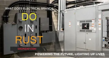 Electrical Branch: Powering Rust's Future
