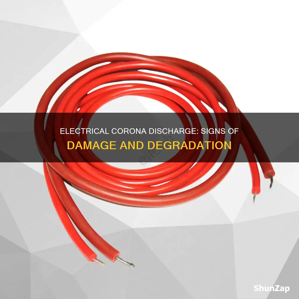 what does electrical corona damage look like