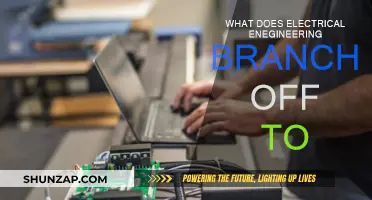 Electrical Engineering: Diverse Career Paths and Specializations