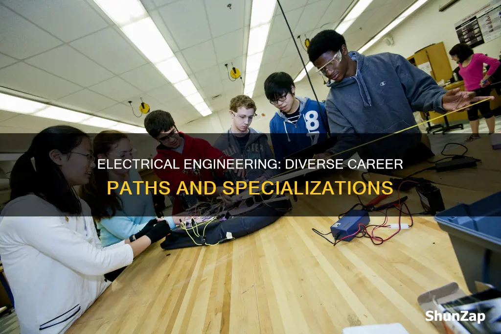 what does electrical enegineering branch off to