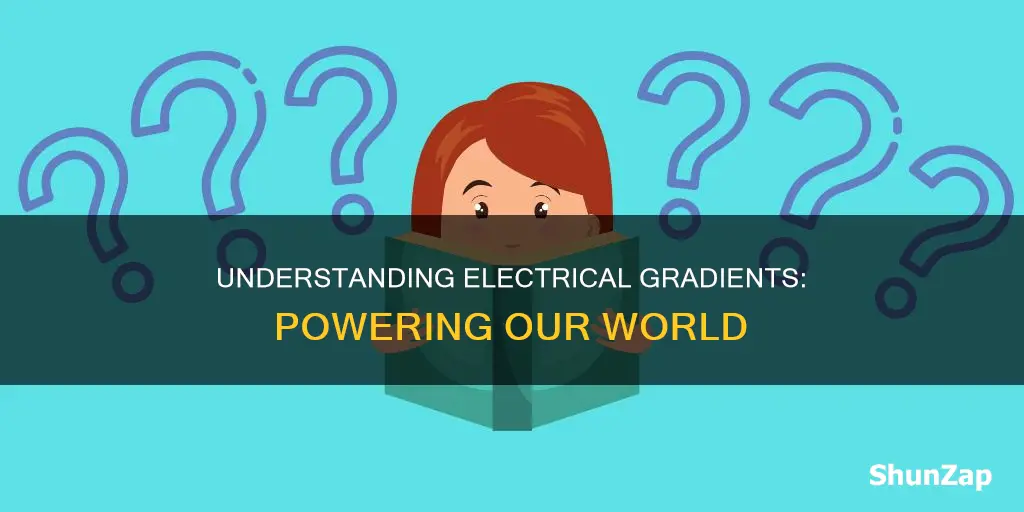 what does electrical gradient mean