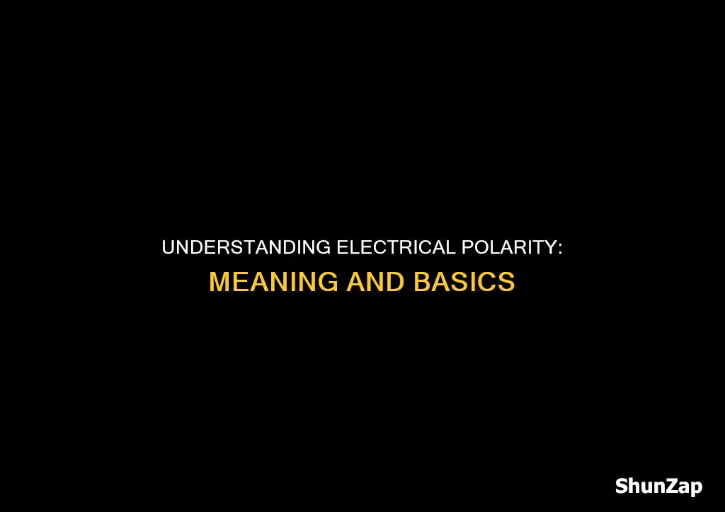 what does electrical polarity mean